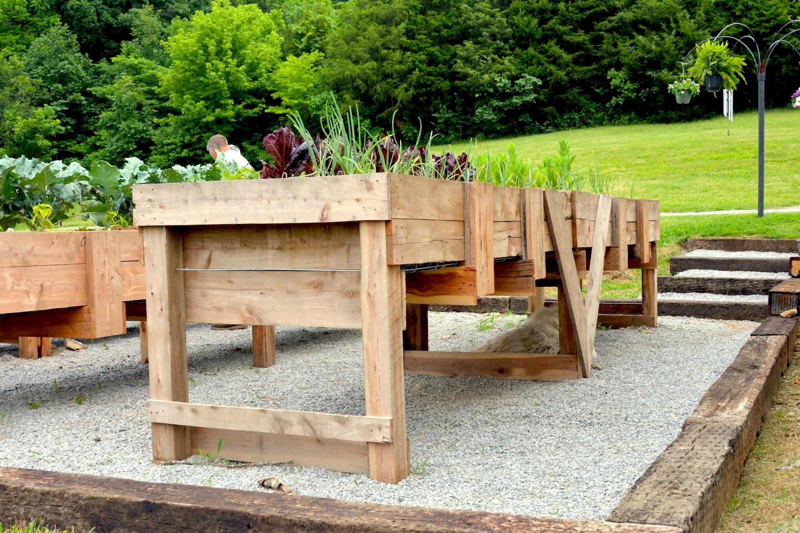 3 1/3 ft x 16 ft raised bed angle view.